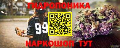 альфа пвп Севастополь