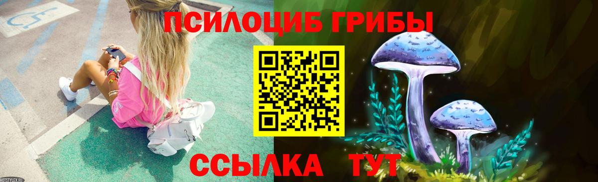 что такое   Галлюциногенные грибы прущие грибы  Вход с VPN  Рязань 